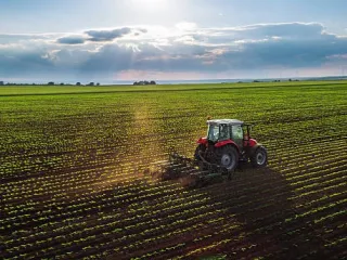 Kmetijstvo