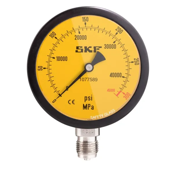 SKF 1077589