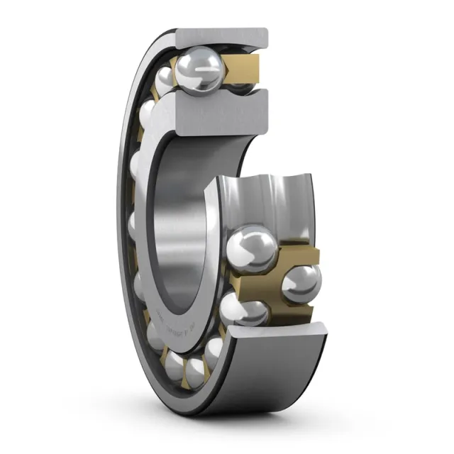 SKF 2309 EM/C3
