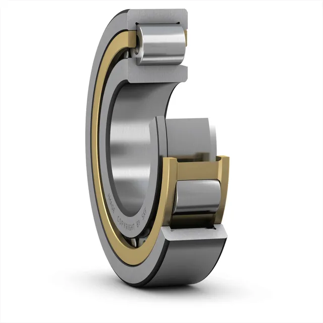 SKF NJ 2220 ECML/P64S1