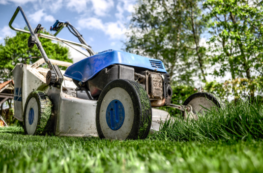 SKF jermeni za vrtni program